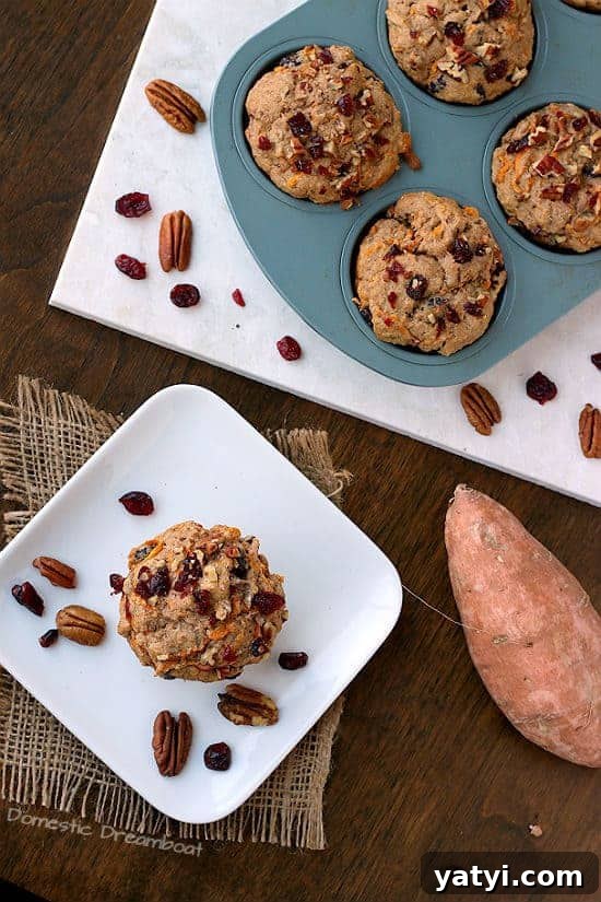 Sweet Potato Cranberry Muffins with Pecans — Autumn Brunch Recipe 4 Overhead photo of cranberry muffins with sweet potato and pecans.