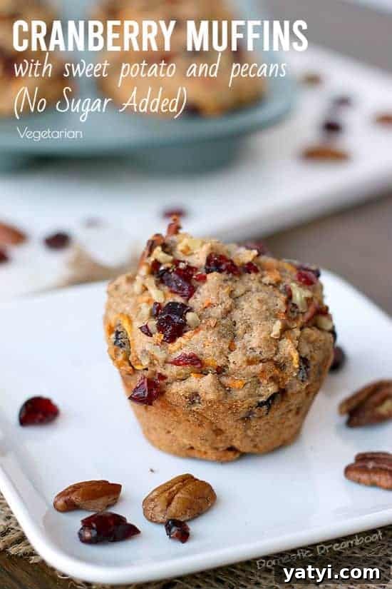Sweet Potato Cranberry Muffins with Pecans — Autumn Brunch Recipe 6 img 5641 9