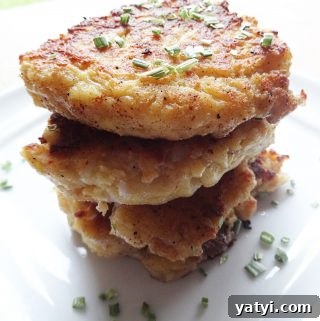 Cheesy Mashed Potato Patties Recipe: Crispy Pan-Fried Potato Cakes 2 Mashed Potato Patties