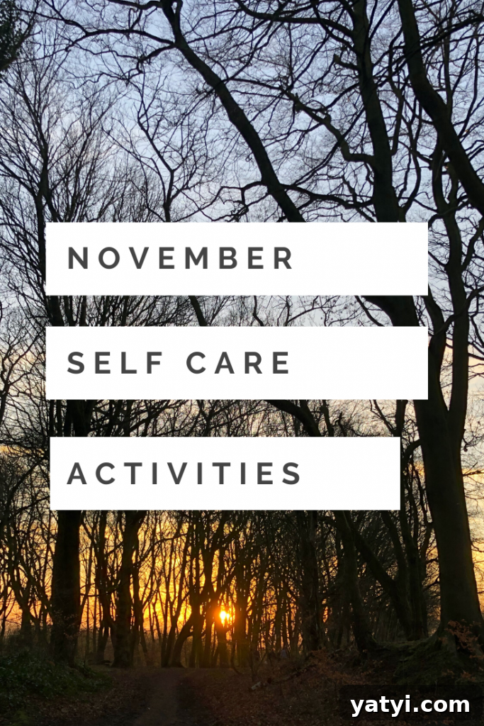 November Self-Care Ideas to Boost Your Well-Being 2 beautiful wintery woodland trees with the sun setting behind them. Text 'November self care activities'