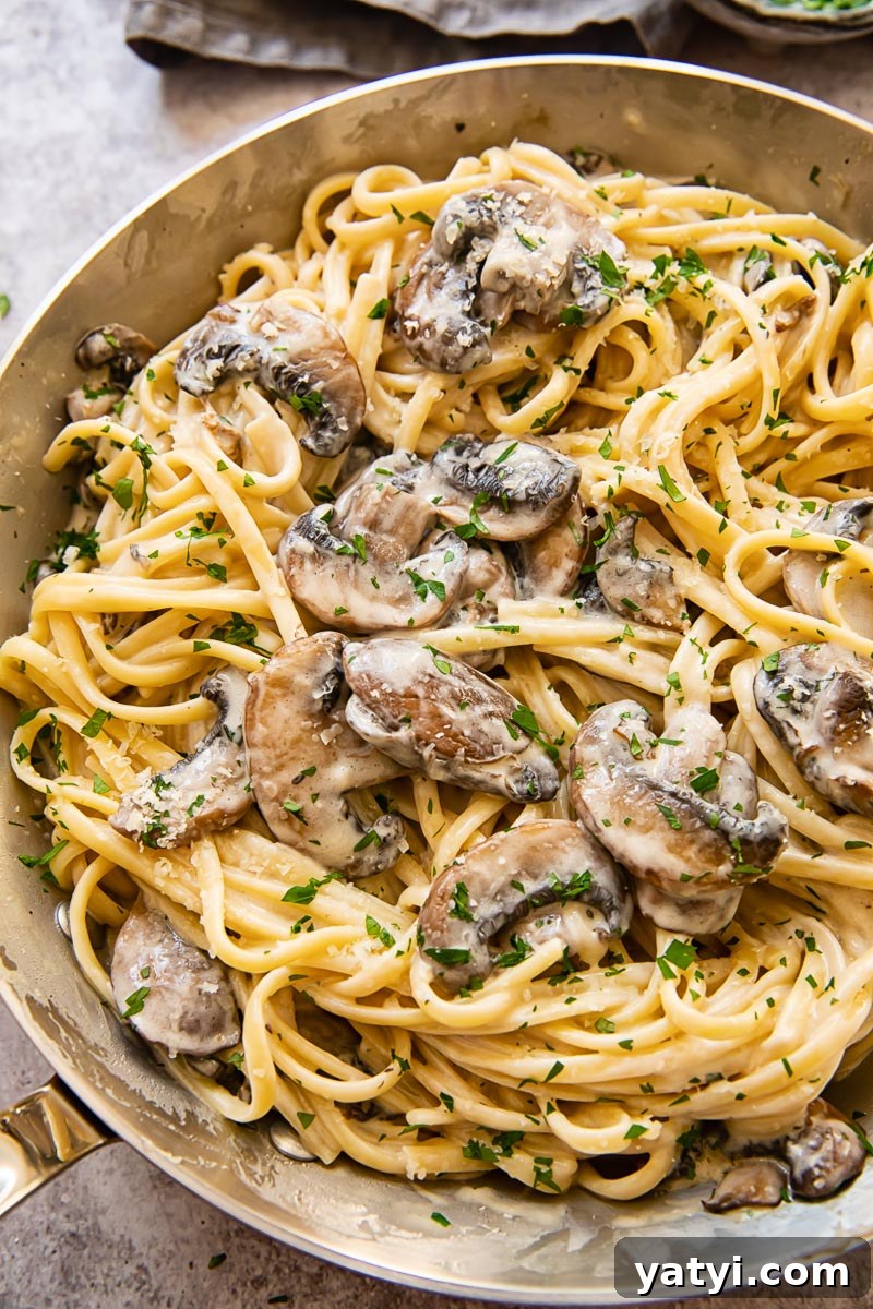 Creamy Garlic Mushroom Pasta Recipe for Dinner 2 top down view of creamy mushroom pasta