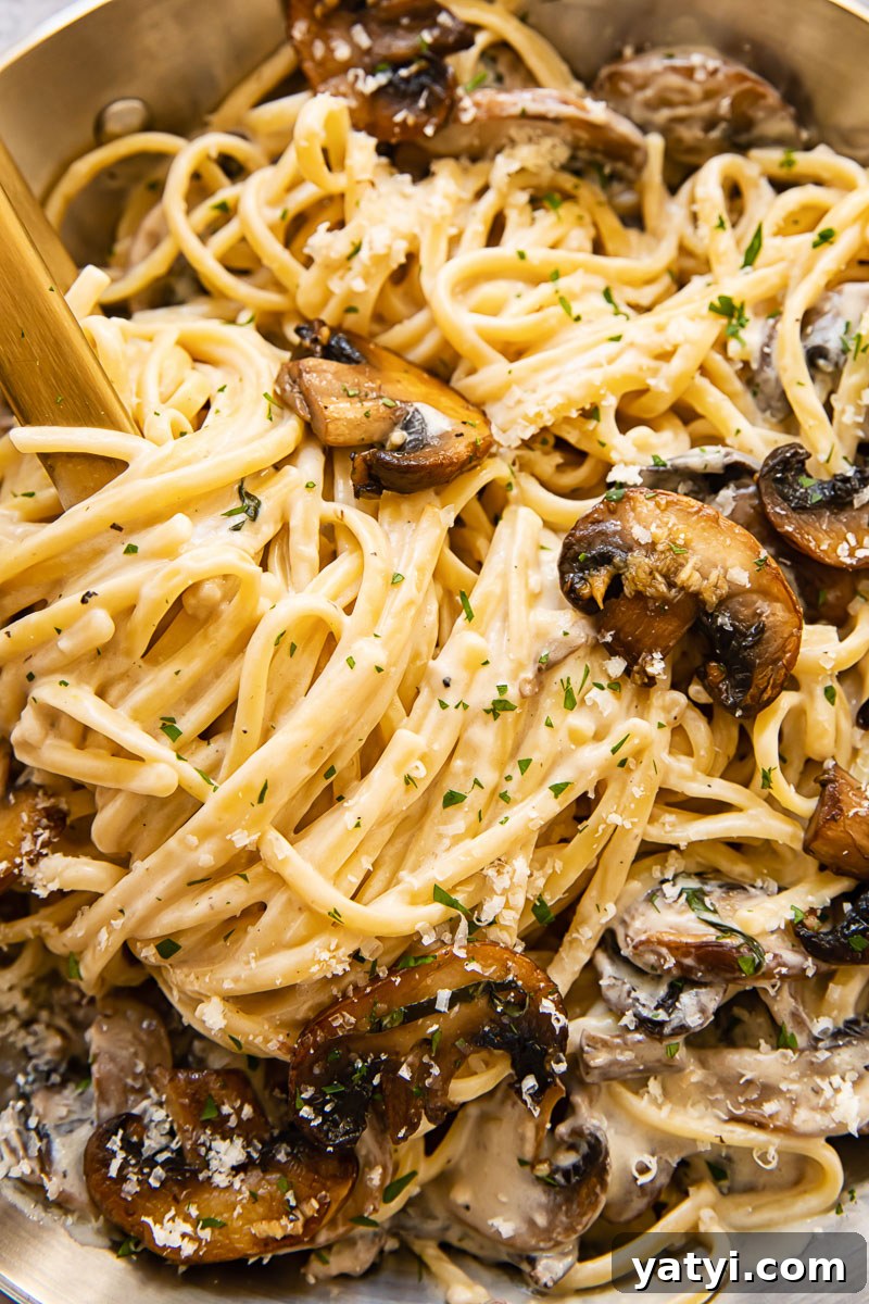 Creamy Garlic Mushroom Pasta Recipe for Dinner 4 close up of creamy linguine with mushrooms