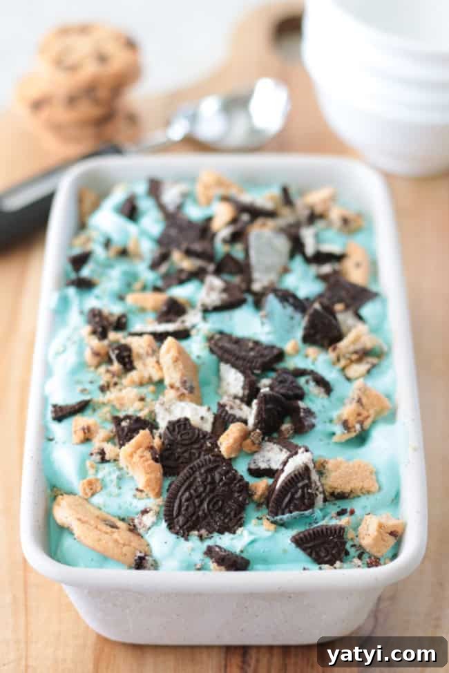 Cookie Monster Ice Cream Recipe Without an Ice Cream Maker (+Video) 3 no churn Cookie Monster ice cream in loaf pan