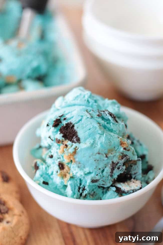 Cookie Monster Ice Cream Recipe Without an Ice Cream Maker (+Video) 4 scoop of Cookie Monster ice cream in white bowl