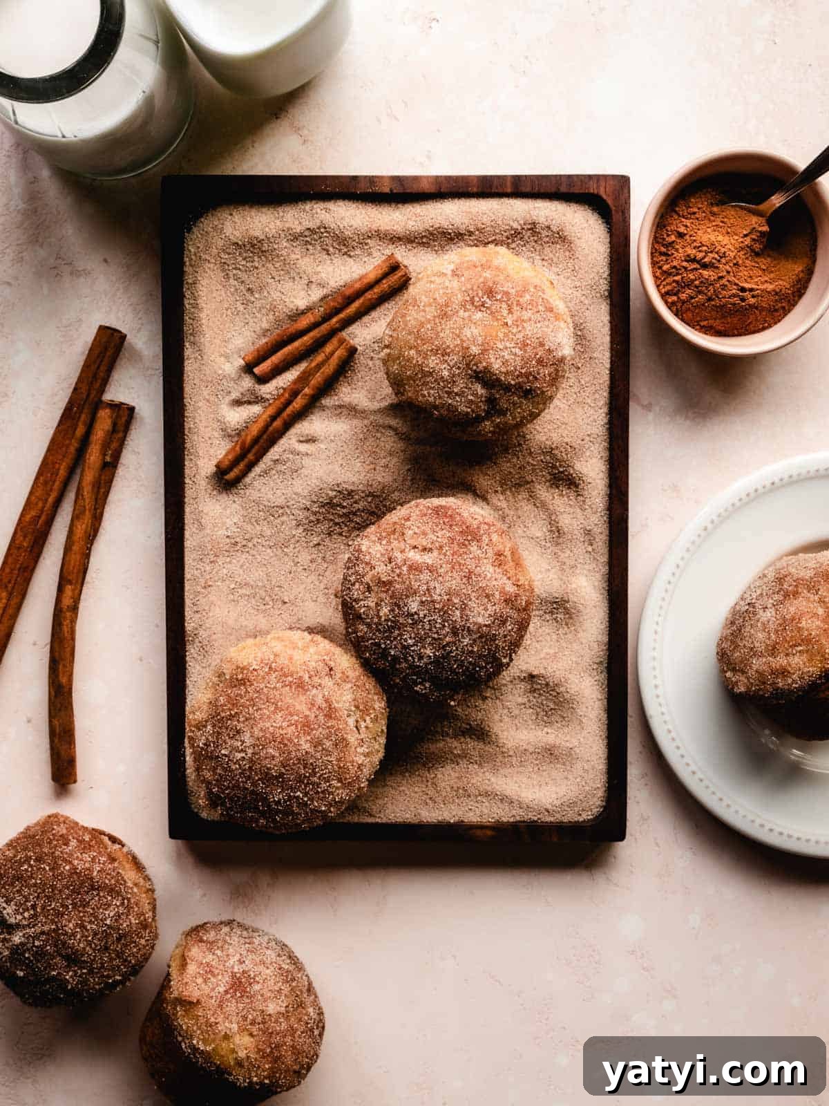 Cinnamon Sugar Donut Muffins Recipe — Soft Baked Donut-Style Muffins 2 cinnamon sugar donut muffins sitting in cinnamon sugar