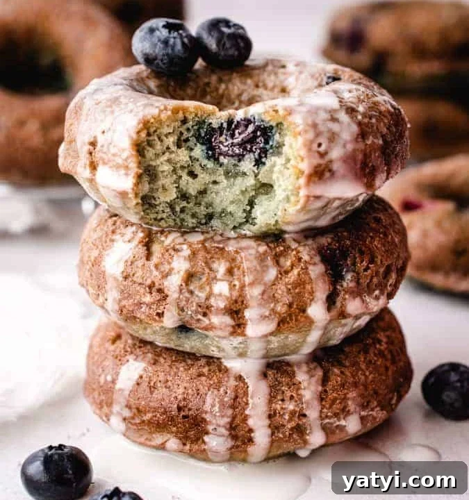 stack of 3 blueberry cake donuts, top donut with bite taken out