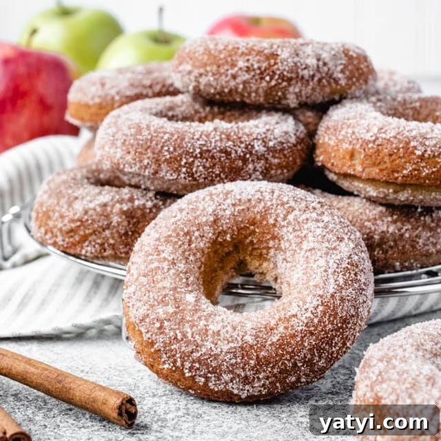 Freshly baked apple cider donuts topped with cinnamon sugar as perfect for Fall.