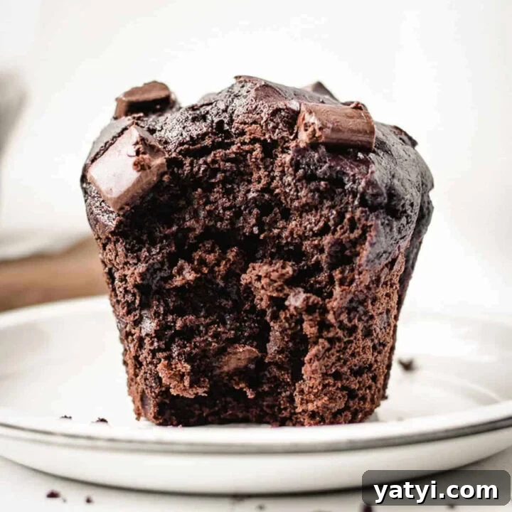 Jumbo double chocolate chip muffin with a bite taken out.