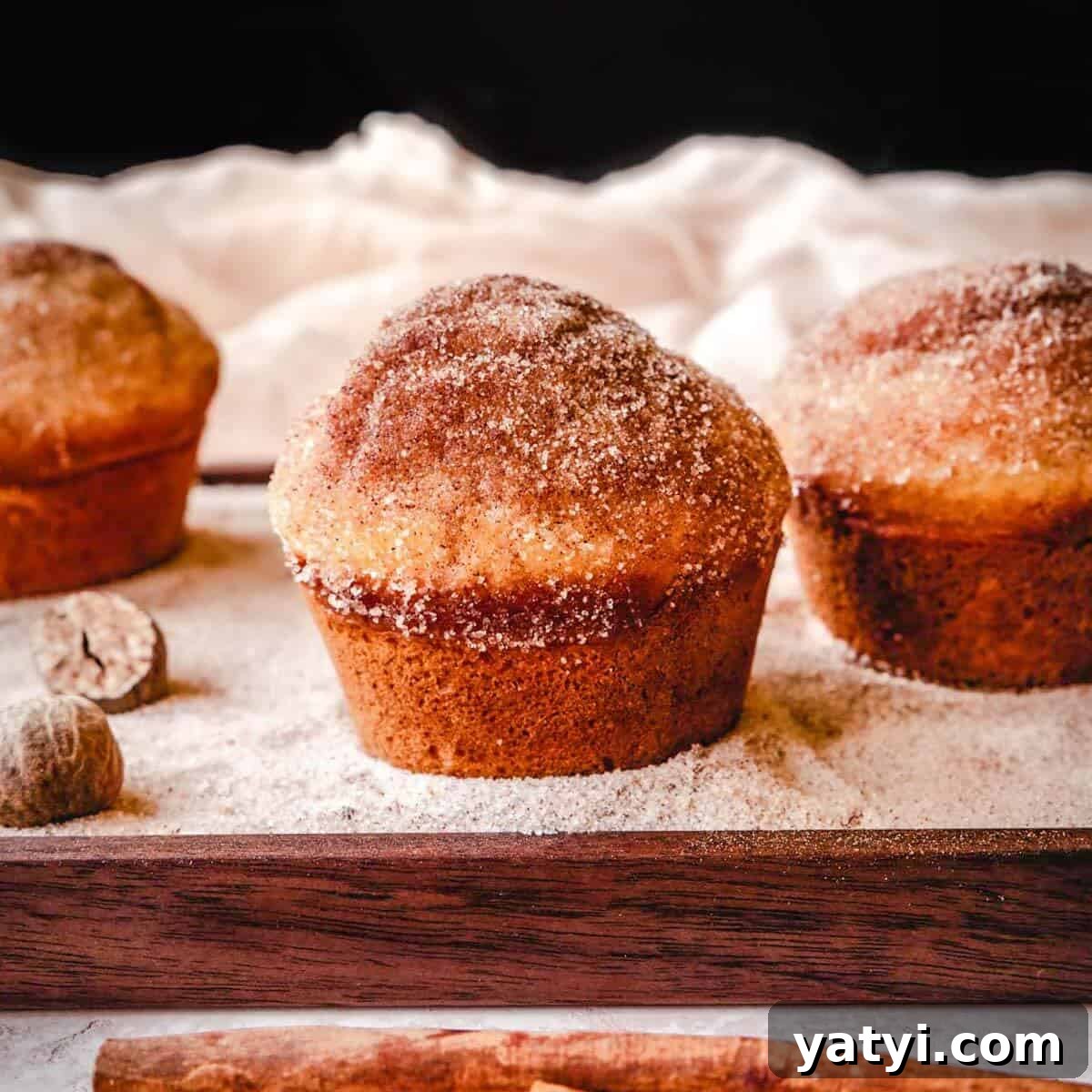 Cinnamon Sugar Donut Muffins Recipe — Soft Baked Donut-Style Muffins 15 Cinnamon sugar donut muffins are so delicious.