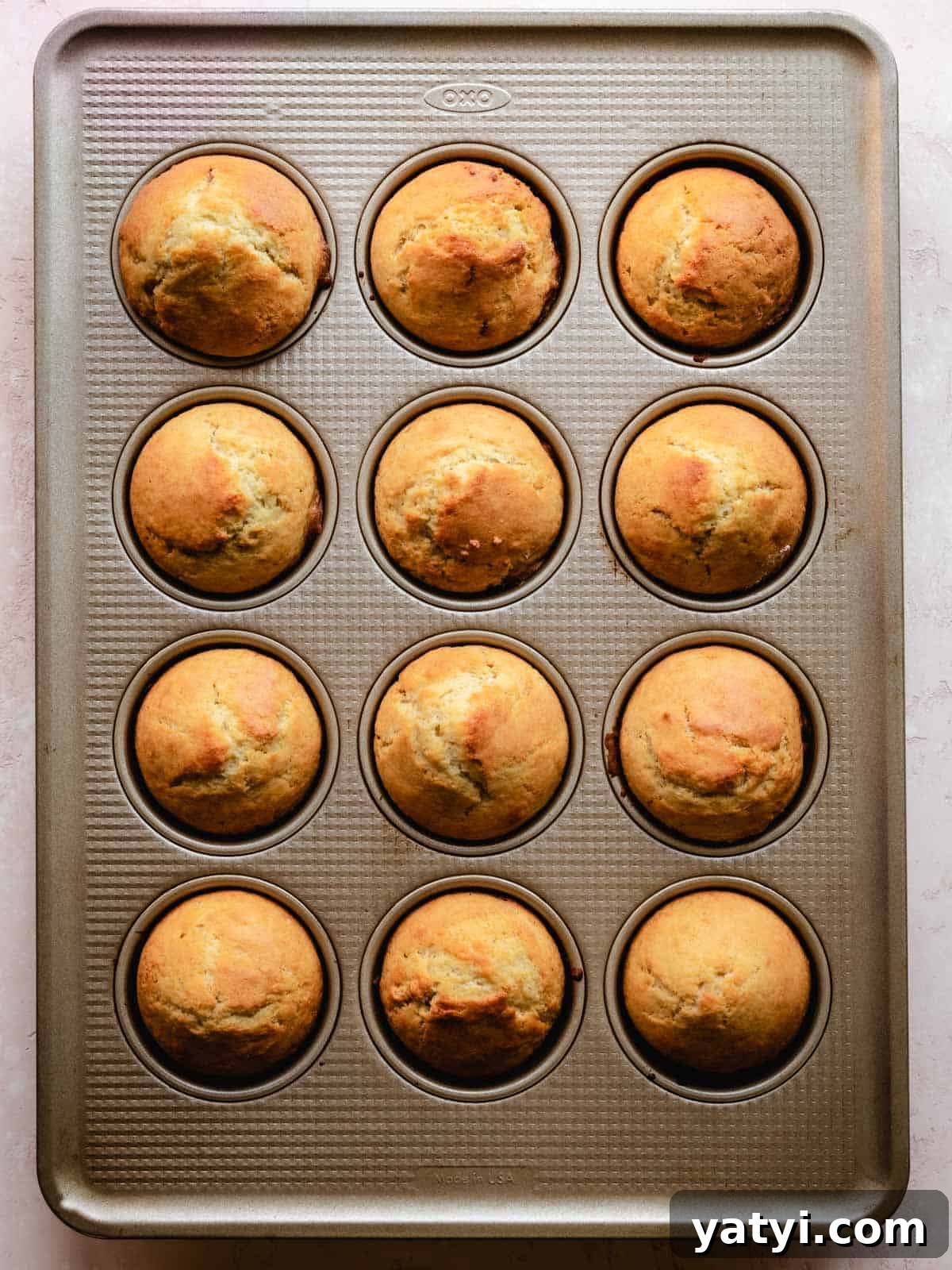 Cinnamon Sugar Donut Muffins Recipe — Soft Baked Donut-Style Muffins 6 freshly baked cinnamon sugar donut muffins in cupcake tin
