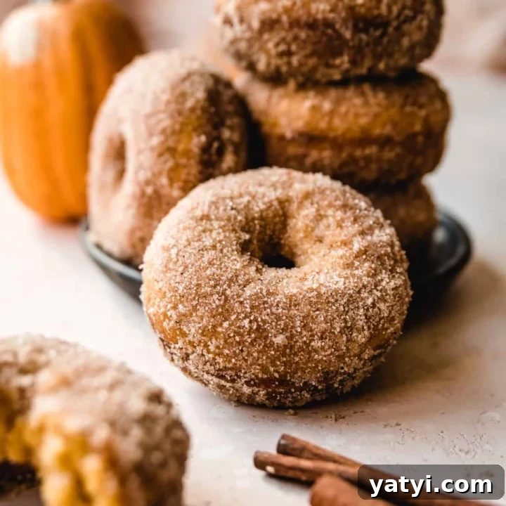 Enjoy these baked pumpkin donuts for breakfast before you head to the pumpkin patch.