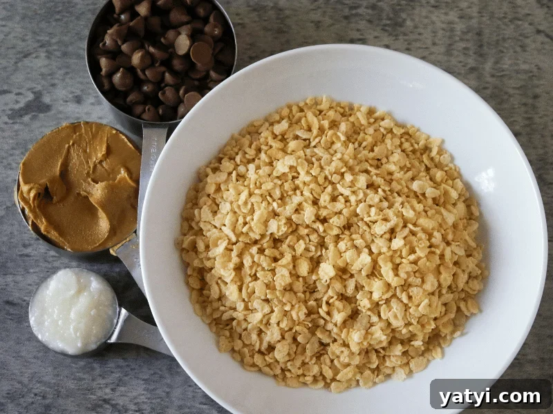 No-Bake Homemade Crunch Bars Recipe for Crispy Chocolate Treats 3 Ingredients for making homemade crunch bars.