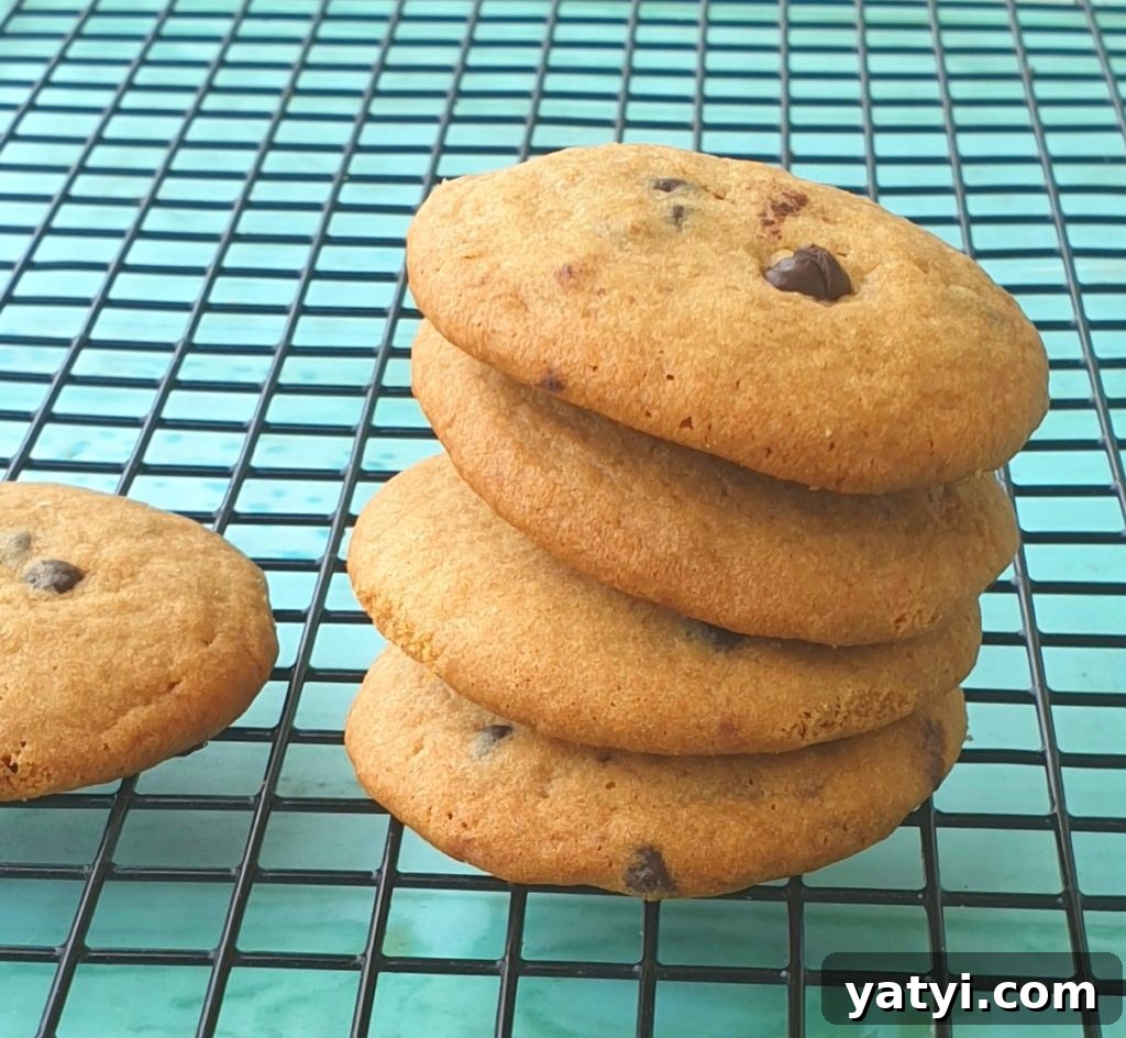 chocolate chip cookies