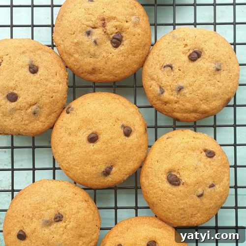 chocolate chip cookies