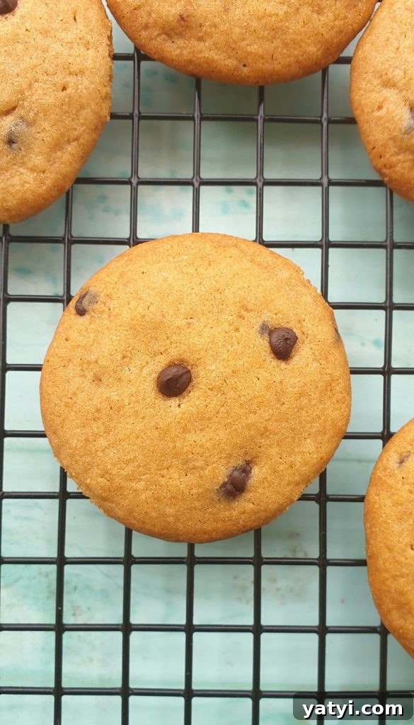 chocolate chip cookies