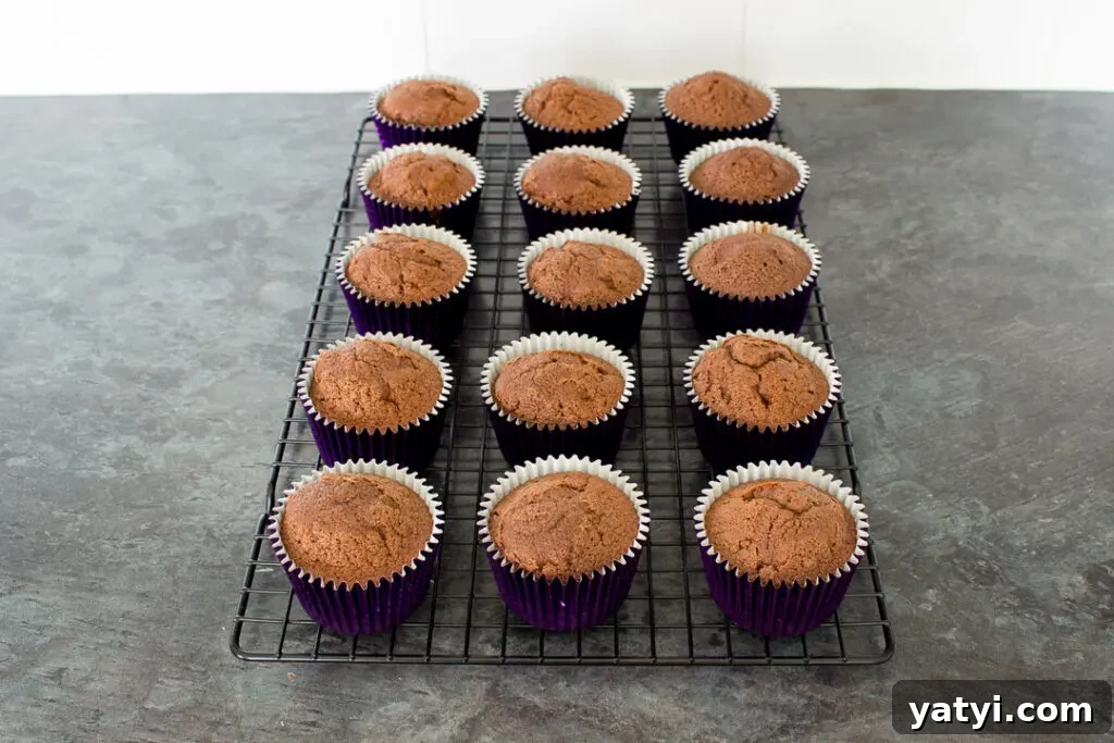 Bonfire Cupcakes Recipe: How to Make Campfire-Style Treats 8 Baked chocolate cupcakes cooling on a wire rack.