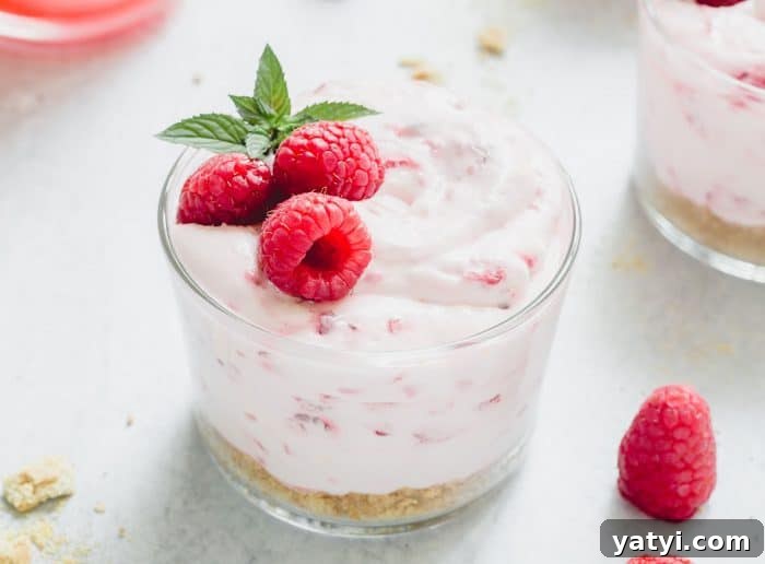 No-Bake Lemon Raspberry Cheesecake Recipe for Fresh Summer Dessert 7 Close up of a glass dish of no-bake raspberry lemon cheesecake garnished with three raspberries and a sprig of mint