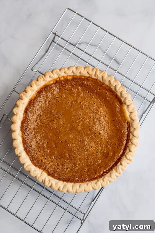 Homemade Pumpkin Pie from Scratch: Classic Recipe and Tips 8 img 66274 7