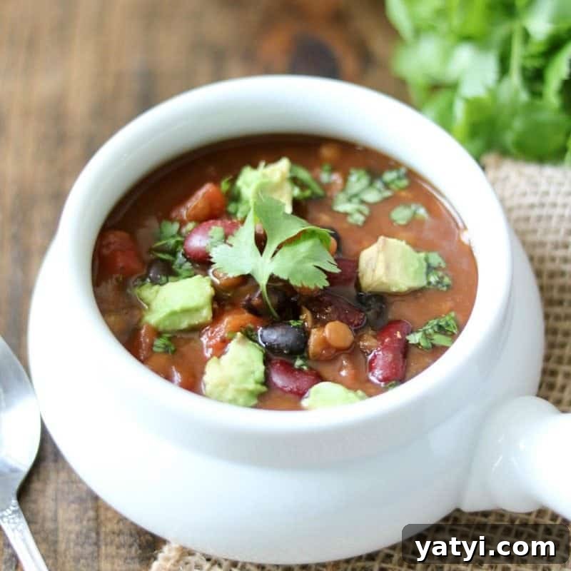 Chili Collection Bowl of Lentil Chili topped with avocado and cilantro