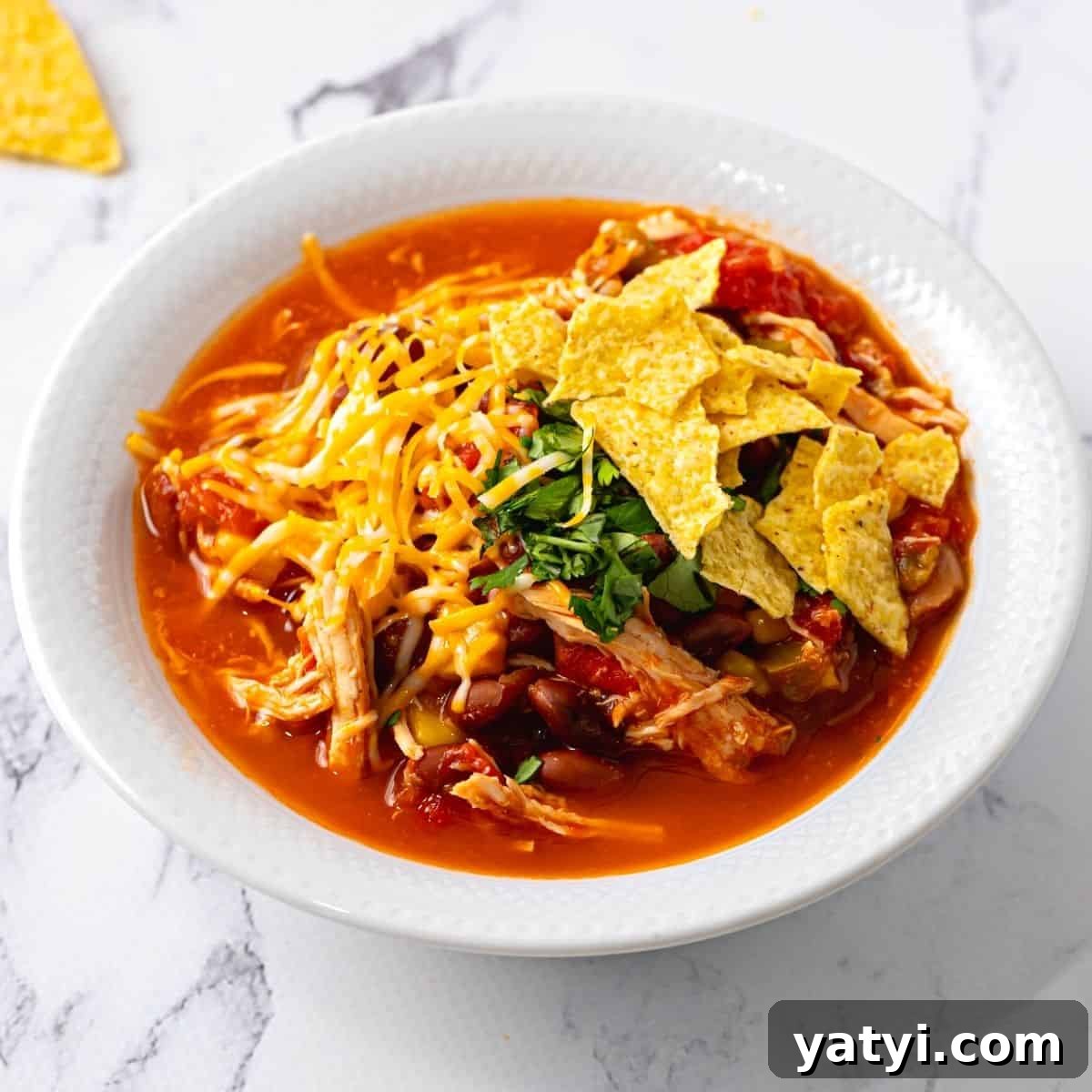 Best Chilis Bowl of chicken chili topped with corn chips and cheese.