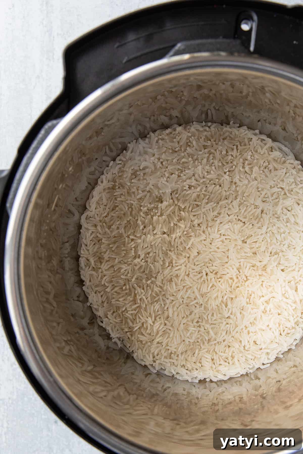 Perfect Instant Pot Basmati Rice Recipe in 15 Minutes 4 img 6847 3
