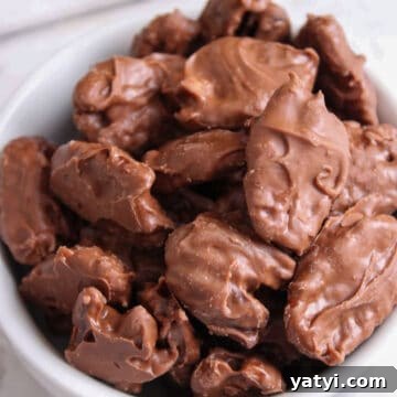 How to Make Chocolate-Covered Pecans at Home 8 Bowl full of chocolate covered pecans.