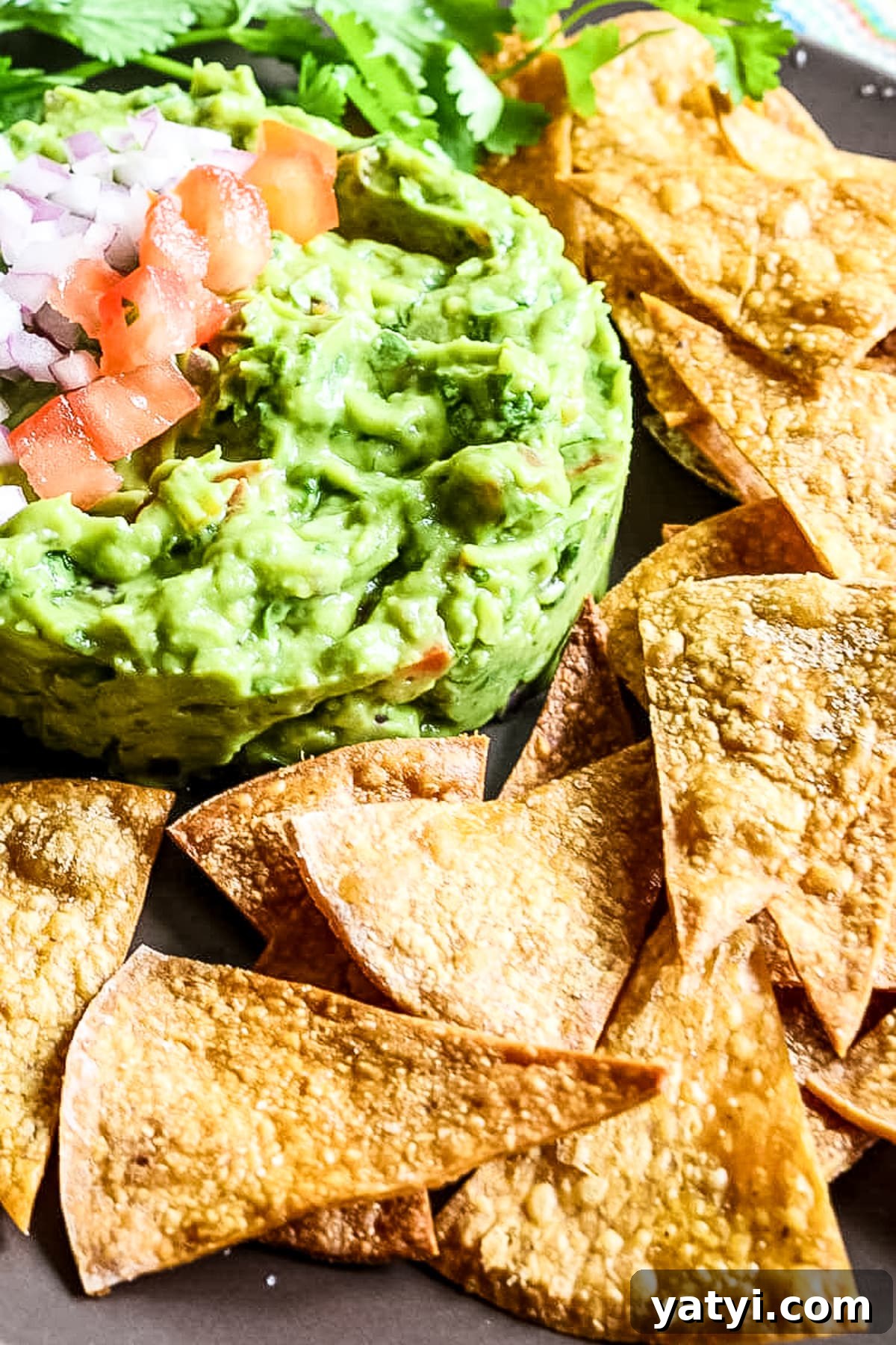 Crispy Oven-Baked Tortilla Chips Recipe You Can Make at Home 2 crispy tortilla chips surrounding a pile of guacamole.