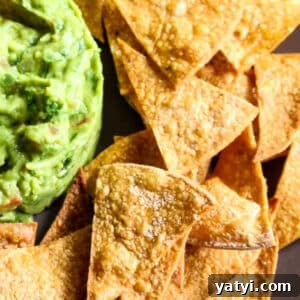 Crispy Oven-Baked Tortilla Chips Recipe You Can Make at Home 9 tortilla chips with salt flakes and guacamole to the left.
