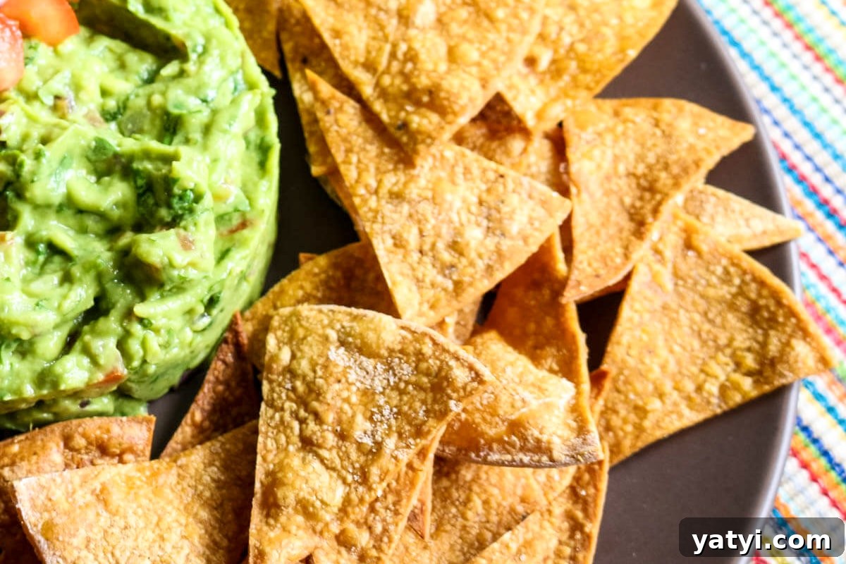 Crispy Oven-Baked Tortilla Chips Recipe You Can Make at Home 7 Tortilla chips with salt on the right side of a guacamole mountain.