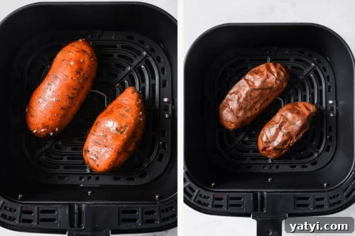 Crispy Air Fryer Sweet Potatoes: Quick Roast in 20 Minutes 16 img 70173 18