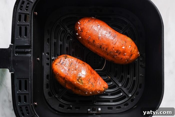 Crispy Air Fryer Sweet Potatoes: Quick Roast in 20 Minutes 6 Two whole sweet potatoes with seasoned skin sit inside the basket, ready to become perfectly tender Air Fryer Baked Sweet Potatoes.