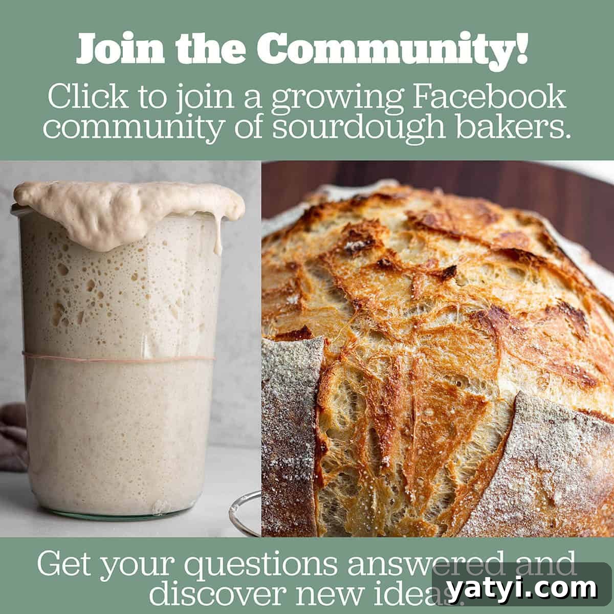 Crispy Sourdough Croutons: How to Make and Store Them Perfectly 11 An image of a sourdough starter and bread.