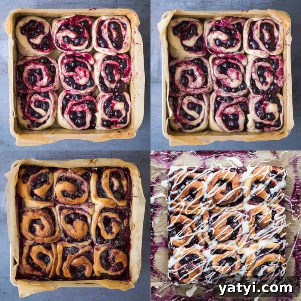 Citrus Lemon Blueberry Rolls (Vegan) 7 lemon blueberry rolls step 4