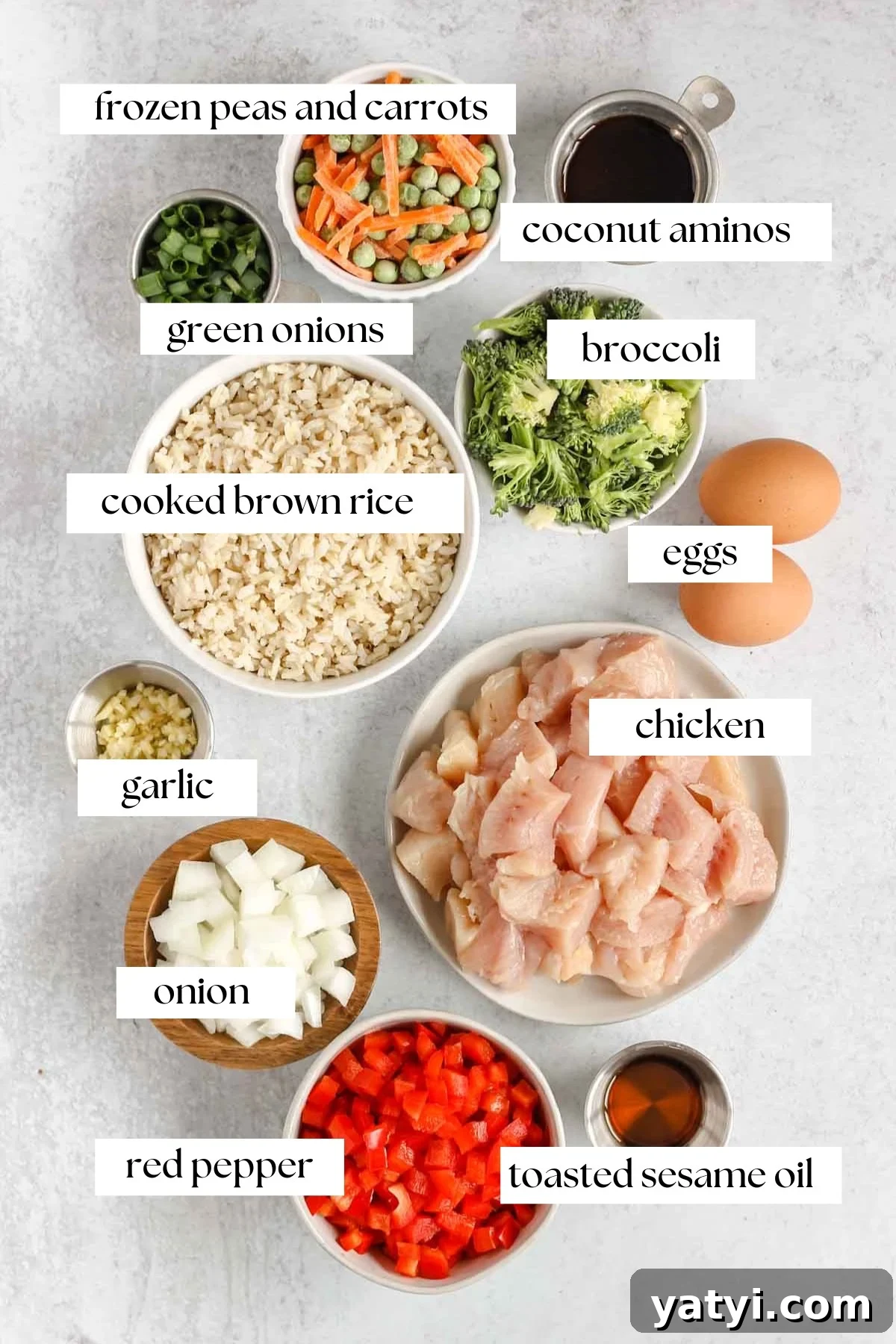 Low-Sodium Fried Rice Without Soy Sauce — Flavorful Vegetable Fried Rice 3 img 7850 2