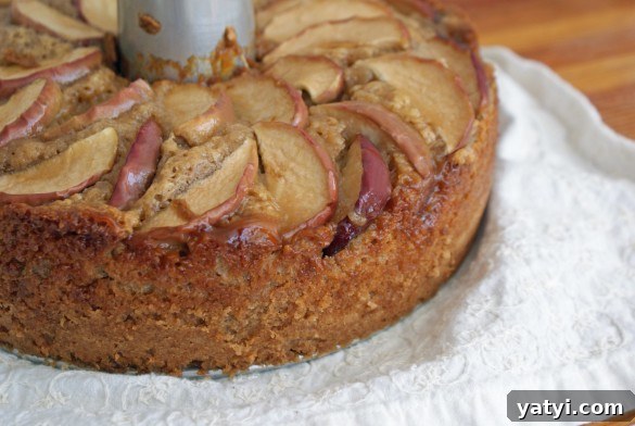 Caramel Apple Coffee Cake Recipe for Fall Baking Delight 2 SONY DSC