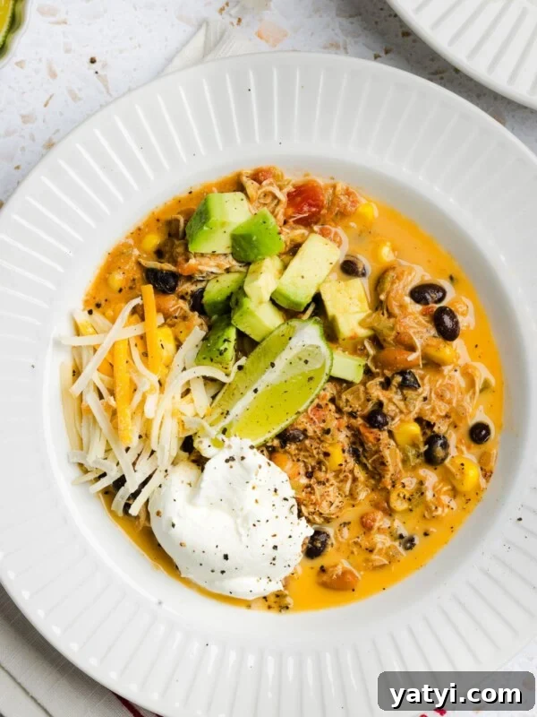 Slow Cooker Thai Red Curry with Chicken and Coconut Milk 11 Overhead photo of creamy red chicken chili in a white bowl, garnished with avocado and greek yogurt