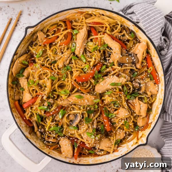 Garlic Shrimp Lo Mein Recipe — Quick Stir-Fry Noodles 17 Square overhead image of Chicken Lo Mein in skillet topped with sesame seeds and green onions