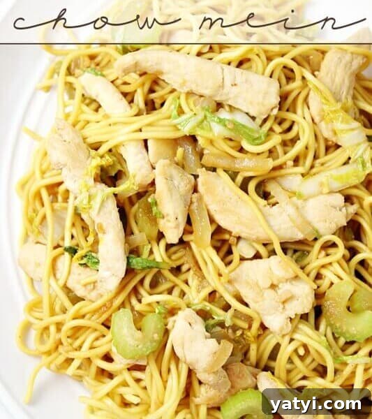 Garlic Shrimp Lo Mein Recipe — Quick Stir-Fry Noodles 18 Spicy Chicken Chow Mein on a white plate.