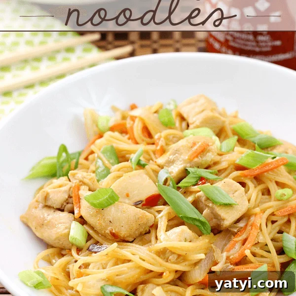 Garlic Shrimp Lo Mein Recipe — Quick Stir-Fry Noodles 19 One Pan Chicken & Orange Chile Noodles in a white bowl.