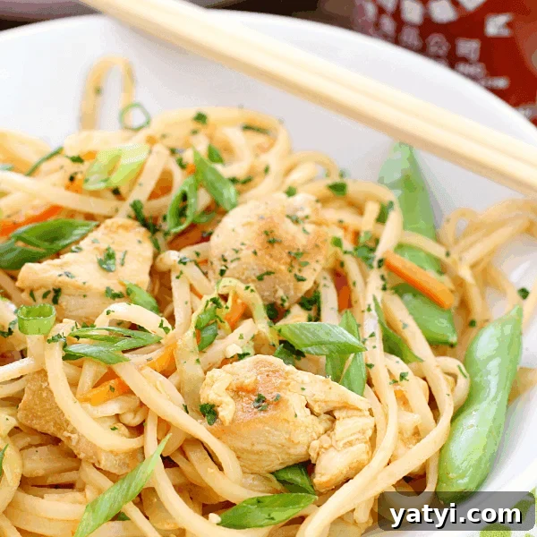 Garlic Shrimp Lo Mein Recipe — Quick Stir-Fry Noodles 20 Dragon Noodles in a white bowl with chop sticks.