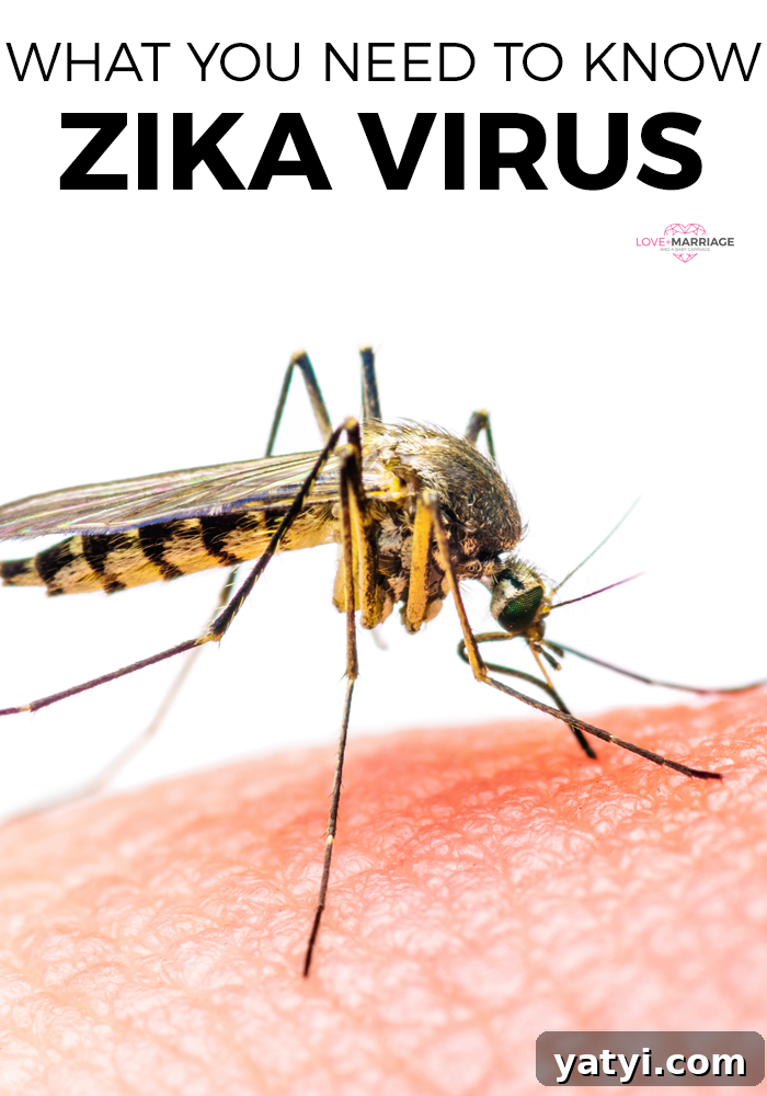 Zika Virus: Essential Facts You Need to Know Now 2 Zika Virus: What You Absolutely Must Know