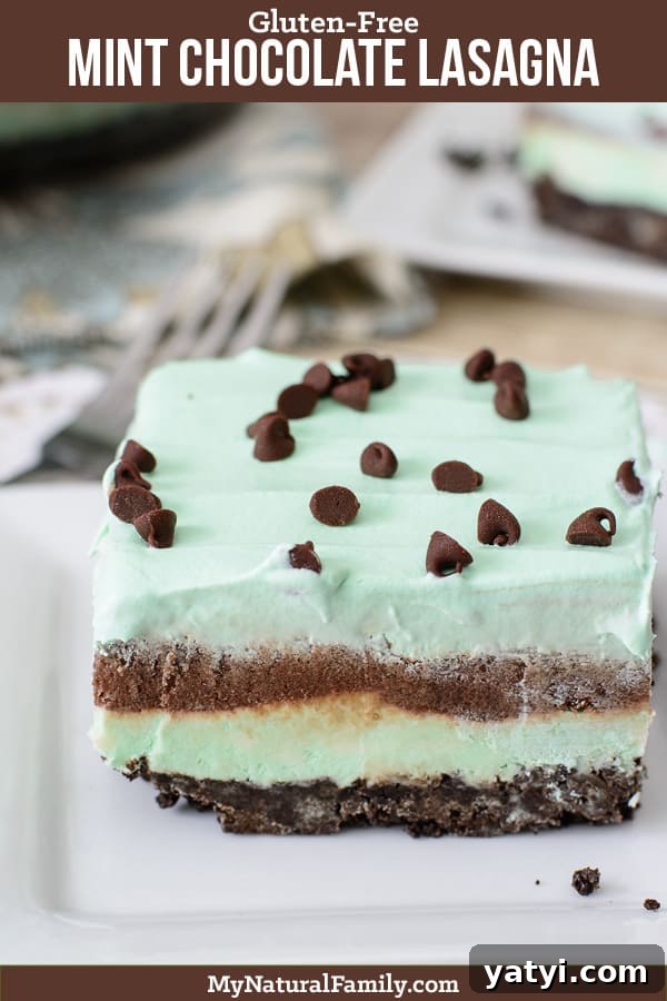 No-Bake Mint Chocolate Gluten-Free Lasagna (Video) 2 No-Bake, Mint Gluten-Free Chocolate Lasagna Recipe