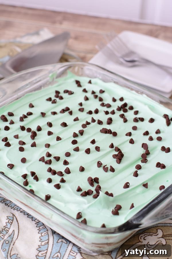 No-Bake Mint Chocolate Gluten-Free Lasagna (Video) 3 Gluten-Free Chocolate Lasagna