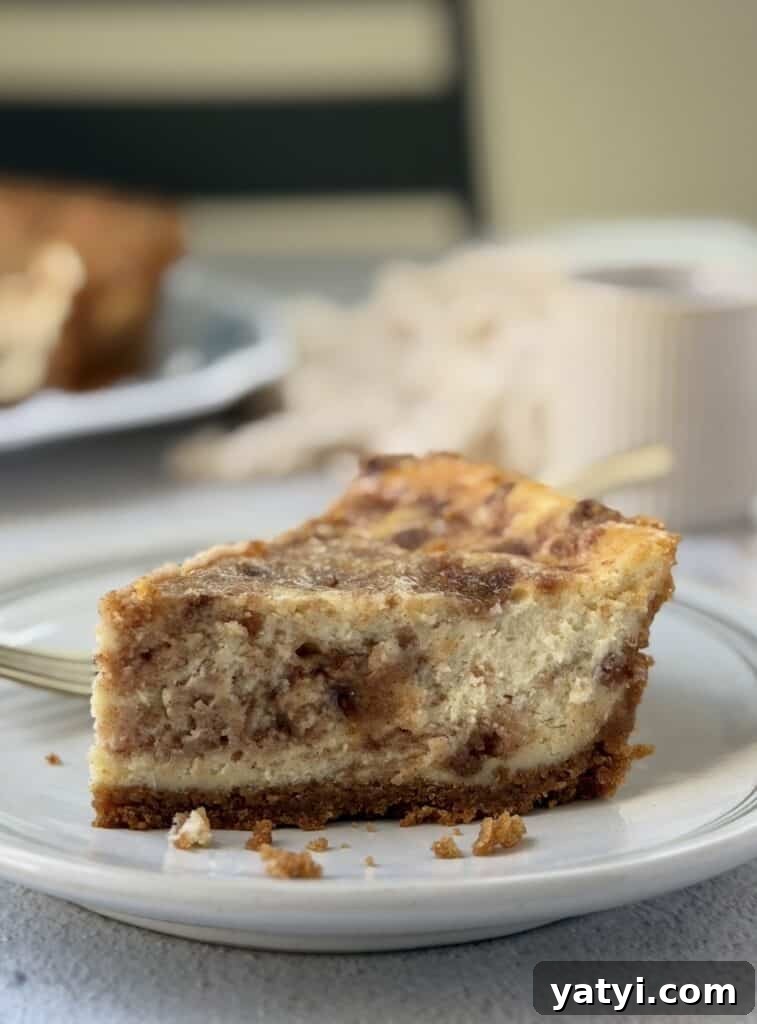 Decadent Cinnamon Swirl Cheesecake Recipe That Melts in Your Mouth 2 slice of cinnamon swirl cheesecake