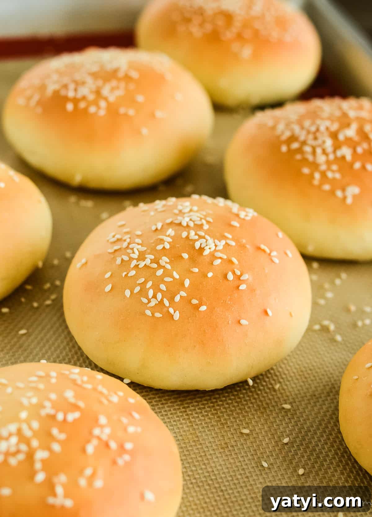 Soft Homemade Hamburger Buns: Fluffy Recipe for Tender Buns 5 homemade hamburger buns recipe