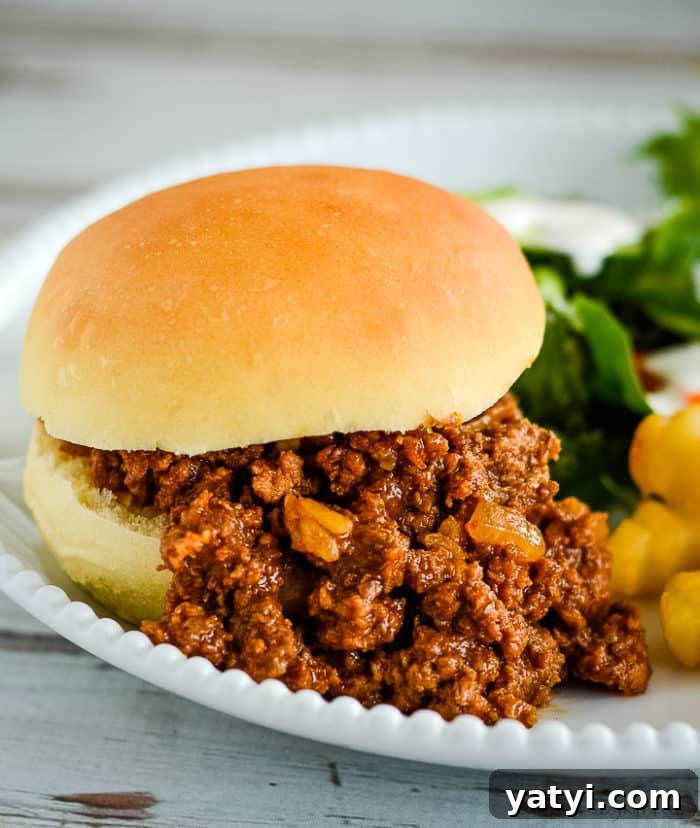 close up of sloppy joe with chicken gumbo soup