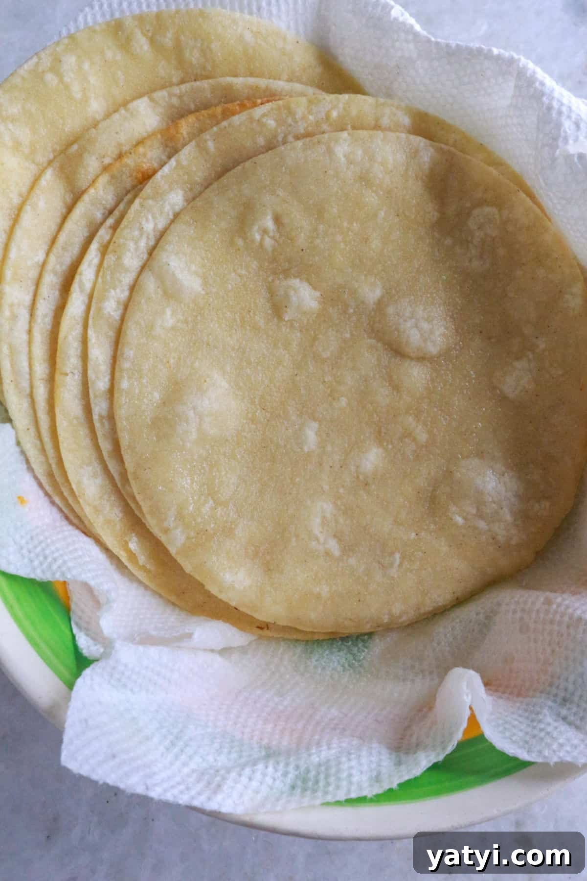 lightly fried corn tortillas on paper towels