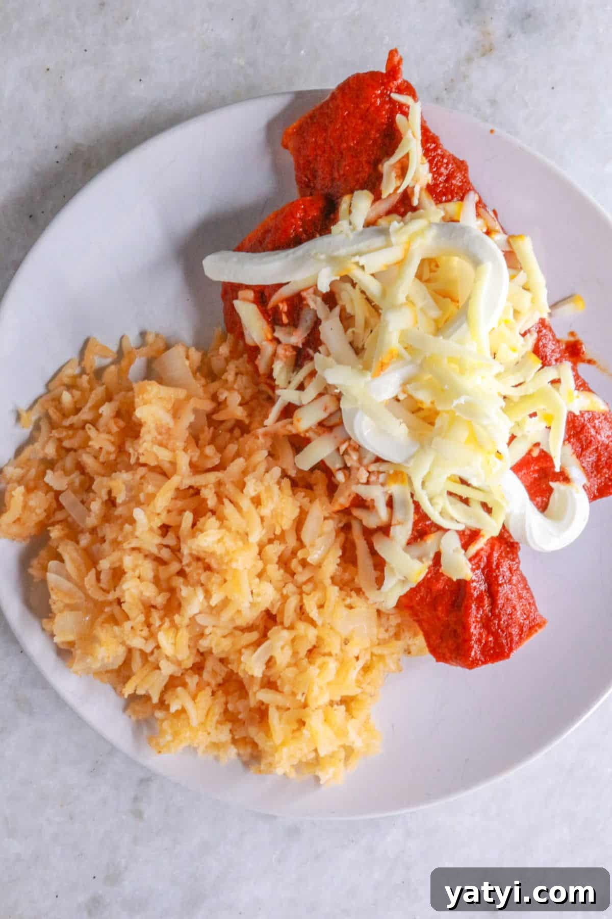 Enchiladas Rojas on a plate with Mexican red rice