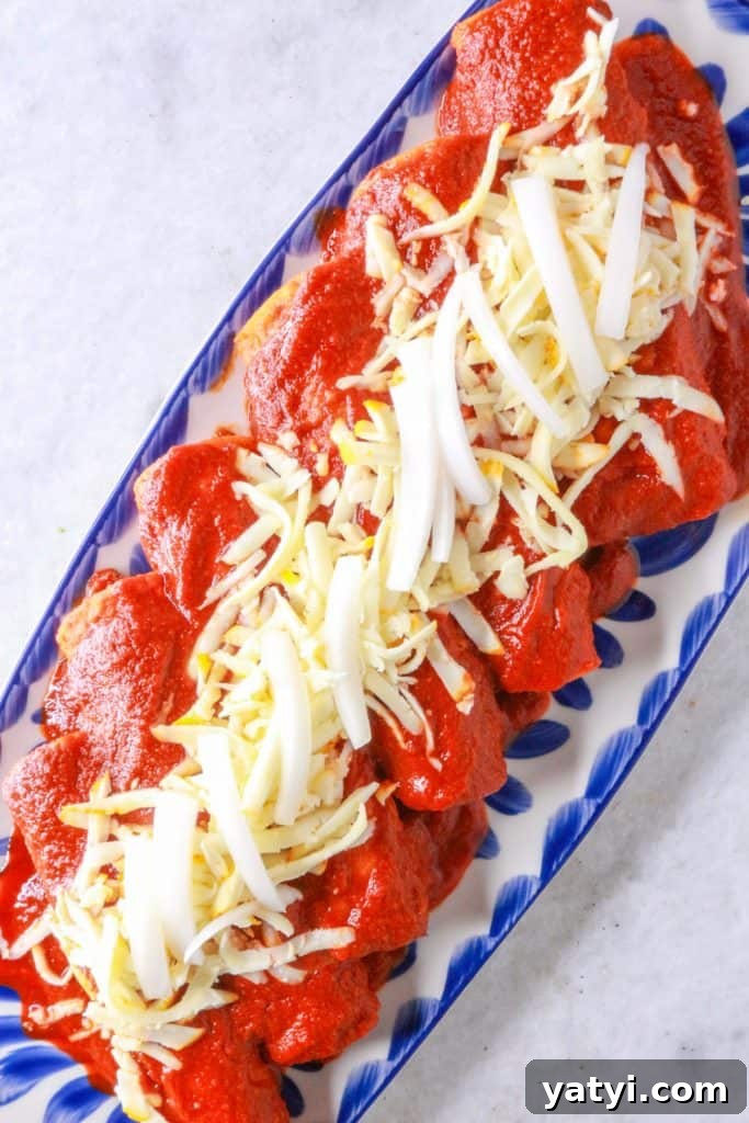 Enchiladas Rojas with shredded beef on a platter