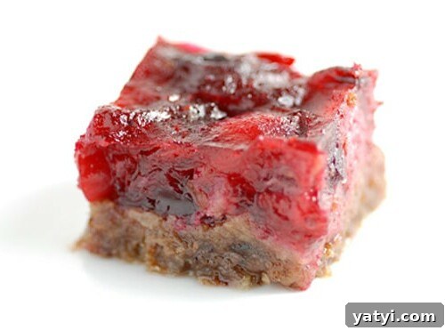 Chewy Cranberry Oat Bars: A Sweet-Tart Snack Recipe 2 paleo cranberry bars